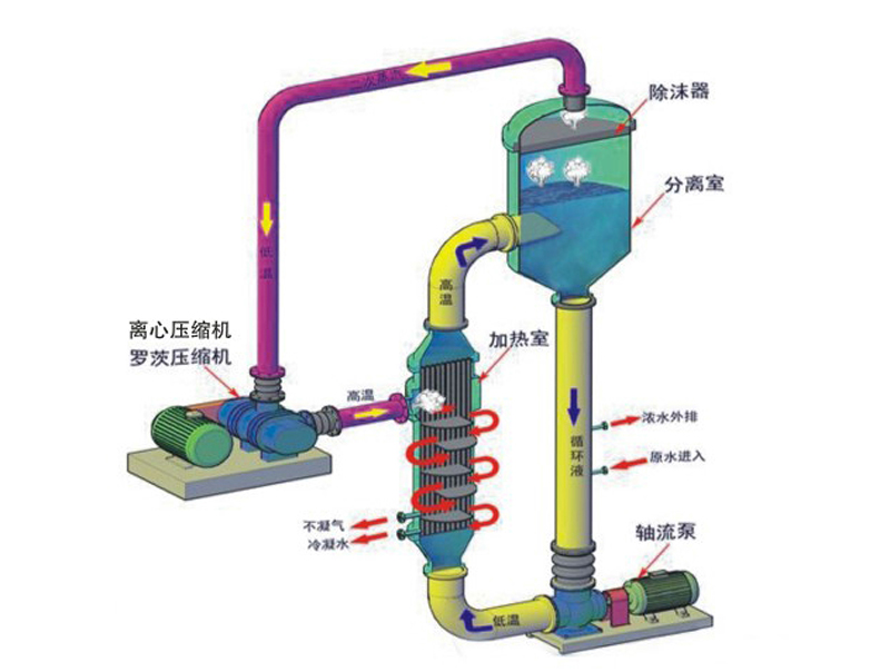 MVR强制循环蒸发器